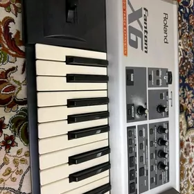 Roland fantom x6