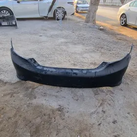 camry paltan saylary