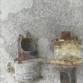 Starter öñ tarap Maz.