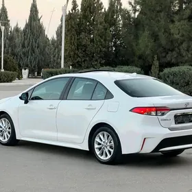 Toyota Corolla 2023