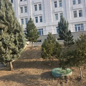 Eyesinden Buzmeyin pol elitka