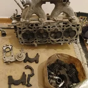 tayoya tersel Galowka