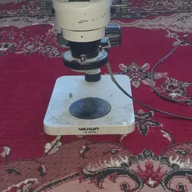 mikraskop микроскоп 10