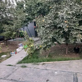 Arenda kwartira plan