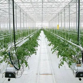 Ýyladyşhana teplisa