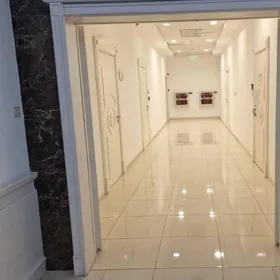 Arenda Berkarar ofis