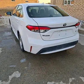Toyota Corolla 2021