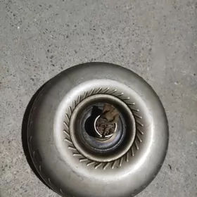 karopka gazan sienna