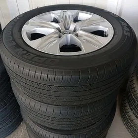 haylander diska pakriska