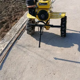 Ÿerdepÿä tyrakdyr