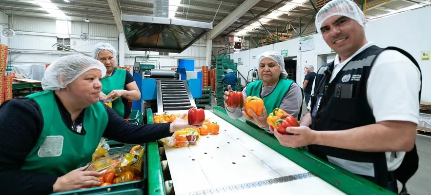 BMG: Global JIÖ geljek iki ýylda pandemiýadan öňki görkezijä gaýdyp gelmez