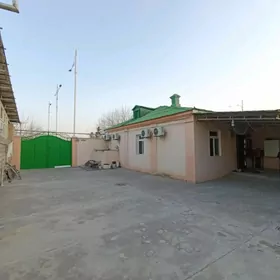 ДОМ! ХИТРОВКА! МИРА!