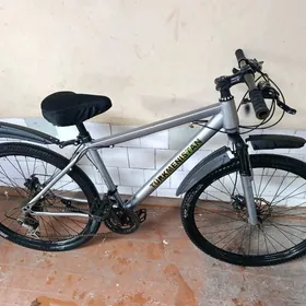 Turkmenistan tigir 26