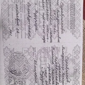 DOGULYŞ ŞAHADATNAMA ÝITDI