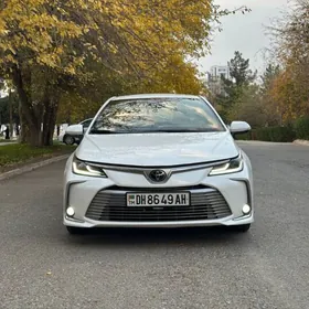 Toyota Corolla 2020