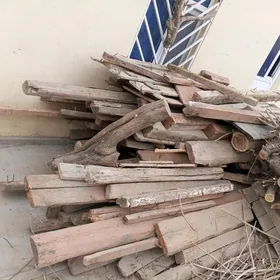 Ulanylan agaç strapila