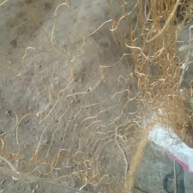 Рыболовный сеть.