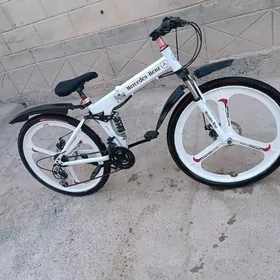 tigir Mercedes Benz 26