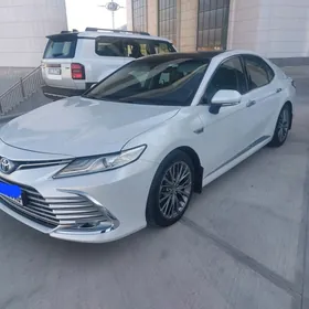 Toyota Camry 2019