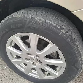 Teker diska Awrýon.