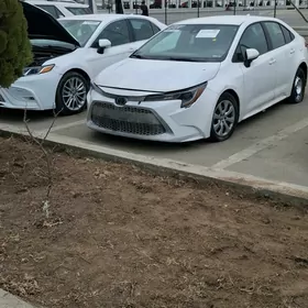 Toyota Corolla 2021