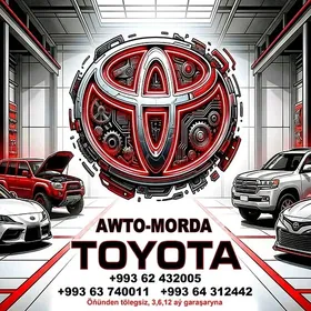 Toyota awto morda