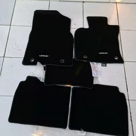 Arginal kowryk Lelsus es 2024