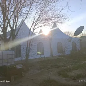 satlyk palata gummez