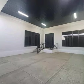 Coganly taze plan jay