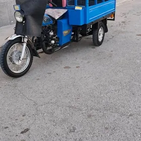 Fekon FK200-14G 2020