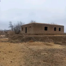 satlyk jaysatlyk jay