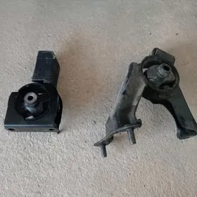 Karola 2005 mator padusga