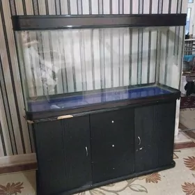250L Akvarium 3şkafy bar mebel