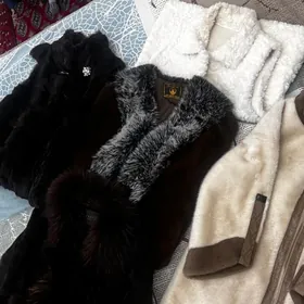 satlyk paltolar shubalar