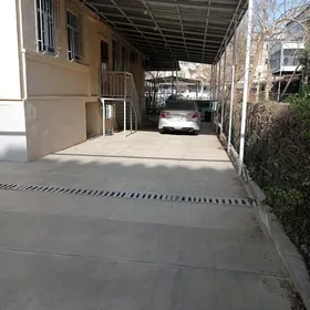 Eyesinden Satılık jay