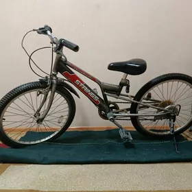 WELİSOPED TİGİR WELİK