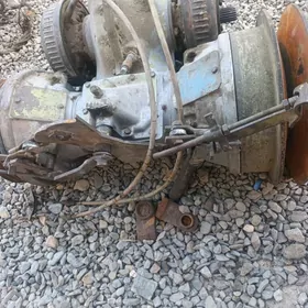 304 karopga ot orýan