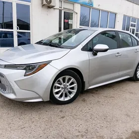 Toyota Corolla 2020