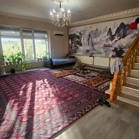 gawers 16 sotok ýolo goloý