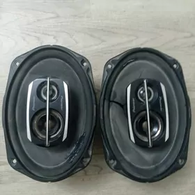 Pioneer nikil kalonka