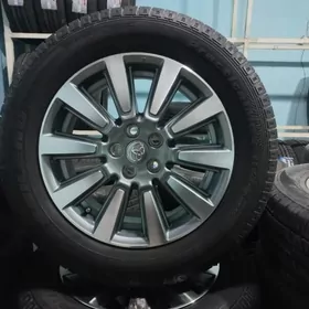 18lik Siena limited diskateker