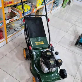 Jadever Ot Oryan Gazona Kasilk