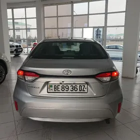 Toyota Corolla 2019