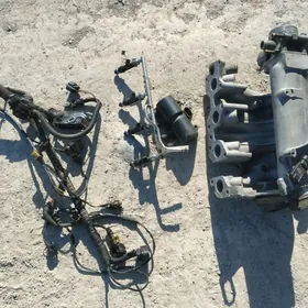 pauk farsunka komplekt