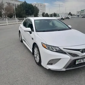 Toyota Camry 2020