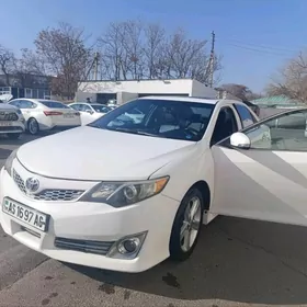 Toyota Camry 2013