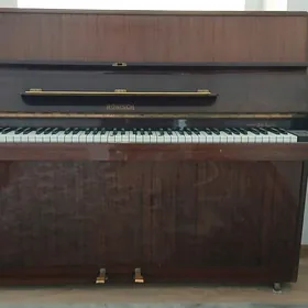 pianino satlyk
