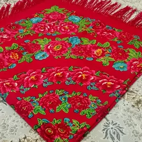 Gadym tûynûk çargat