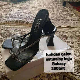 Turkden gelen Basonoska