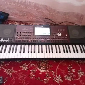 Korg pa 700 0rental.